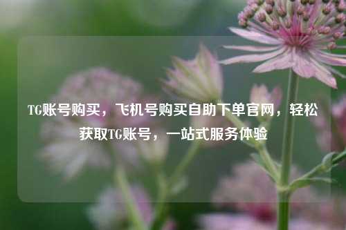 TG账号购买，飞机号购买自助下单官网，轻松获取TG账号，一站式服务体验