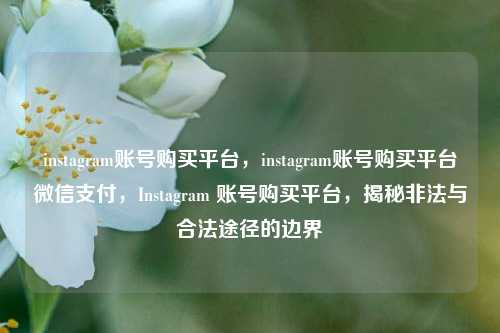 instagram账号购买平台，instagram账号购买平台微信支付，Instagram 账号购买平台，揭秘非法与合法途径的边界