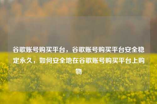 谷歌账号购买平台，谷歌账号购买平台安全稳定永久，如何安全地在谷歌账号购买平台上购物