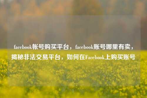 facebook帐号购买平台，facebook账号哪里有卖，揭秘非法交易平台	，如何在Facebook上购买账号  第1张