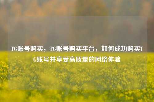 TG账号购买	，TG账号购买平台，如何成功购买TG账号并享受高质量的网络体验  第1张