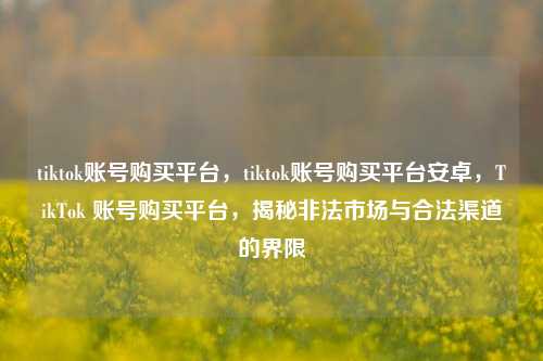 tiktok账号购买平台，tiktok账号购买平台安卓，TikTok 账号购买平台，揭秘非法市场与合法渠道的界限