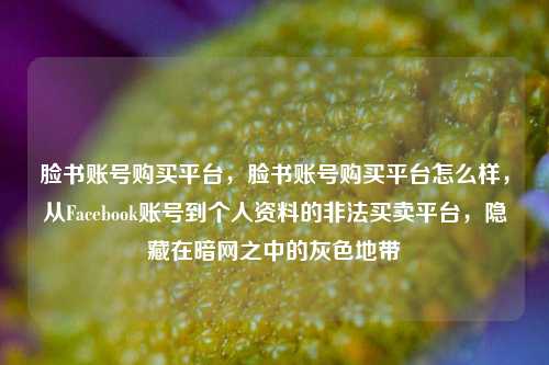 脸书账号购买平台，脸书账号购买平台怎么样，从Facebook账号到个人资料的非法买卖平台，隐藏在暗网之中的灰色地带