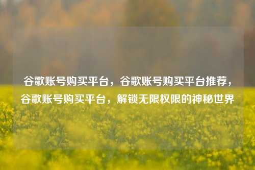 谷歌账号购买平台，谷歌账号购买平台推荐，谷歌账号购买平台，解锁无限权限的神秘世界