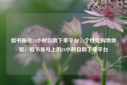 脸书账号24小时自助下单平台，个性化购物体验，脸书账号上的24小时自助下单平台  第1张