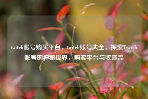 twitch账号购买平台，twitch账号大全，探索Twitch账号的神秘世界，购买平台与收藏品