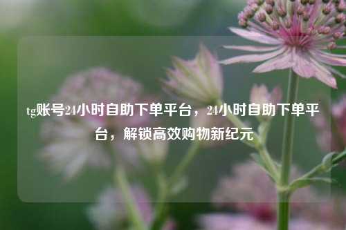 tg账号24小时自助下单平台，24小时自助下单平台，解锁高效购物新纪元
