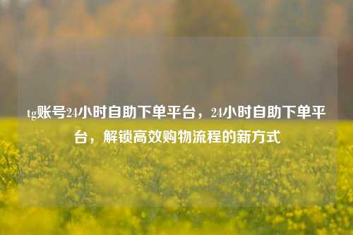 tg账号24小时自助下单平台，24小时自助下单平台，解锁高效购物流程的新方式