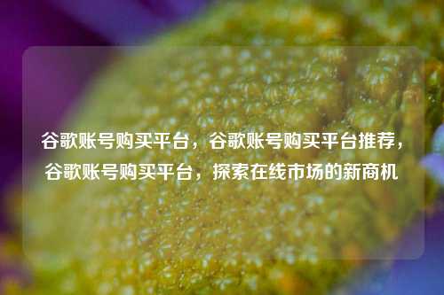 谷歌账号购买平台，谷歌账号购买平台推荐，谷歌账号购买平台，探索在线市场的新商机