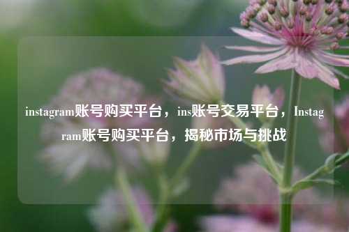 instagram账号购买平台，ins账号交易平台，Instagram账号购买平台，揭秘市场与挑战