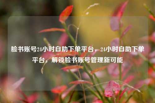 脸书账号24小时自助下单平台，24小时自助下单平台，解锁脸书账号管理新可能