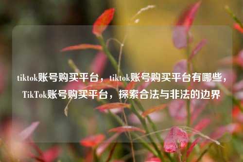 tiktok账号购买平台，tiktok账号购买平台有哪些，TikTok账号购买平台，探索合法与非法的边界