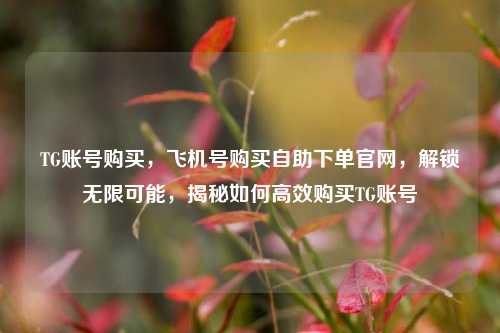 TG账号购买，飞机号购买自助下单官网，解锁无限可能，揭秘如何高效购买TG账号