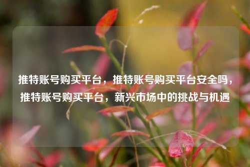 推特账号购买平台，推特账号购买平台安全吗，推特账号购买平台，新兴市场中的挑战与机遇