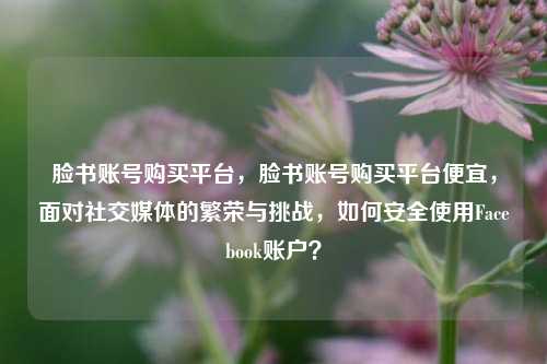 脸书账号购买平台，脸书账号购买平台便宜，面对社交媒体的繁荣与挑战，如何安全使用Facebook账户？