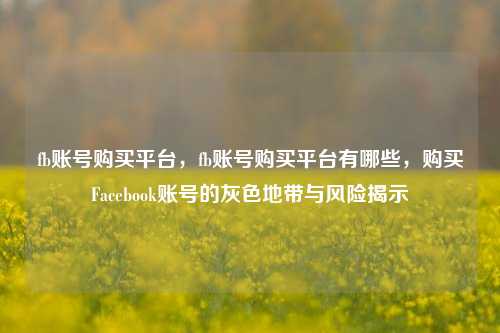 fb账号购买平台，fb账号购买平台有哪些，购买Facebook账号的灰色地带与风险揭示