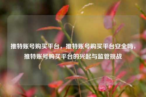 推特账号购买平台，推特账号购买平台安全吗，推特账号购买平台的兴起与监管挑战