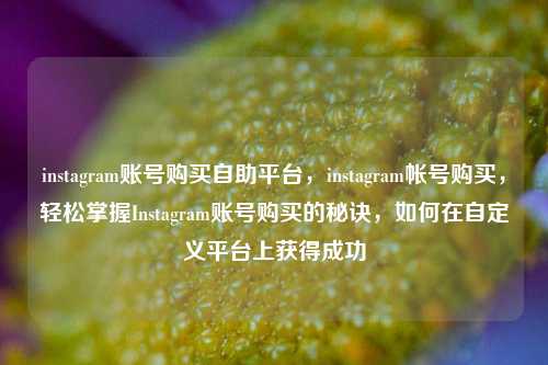 instagram账号购买自助平台，instagram帐号购买，轻松掌握Instagram账号购买的秘诀，如何在自定义平台上获得成功