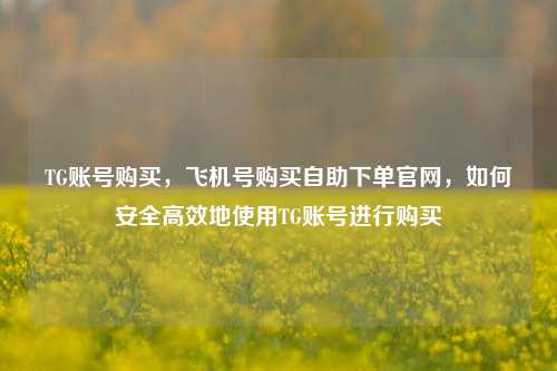 TG账号购买，飞机号购买自助下单官网，如何安全高效地使用TG账号进行购买