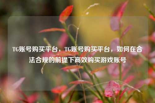 TG账号购买平台，TG账号购买平台，如何在合法合规的前提下高效购买游戏账号