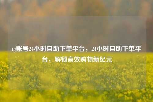tg账号24小时自助下单平台，24小时自助下单平台，解锁高效购物新纪元