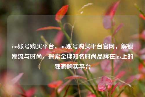 ins账号购买平台，ins账号购买平台官网，解锁潮流与时尚，探索全球知名时尚品牌在Ins上的独家购买平台