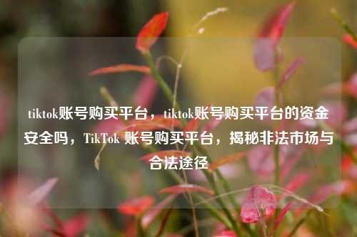 tiktok账号购买平台，tiktok账号购买平台的资金安全吗，TikTok 账号购买平台，揭秘非法市场与合法途径