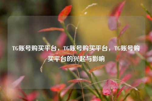 TG账号购买平台，TG账号购买平台，TG账号购买平台的兴起与影响