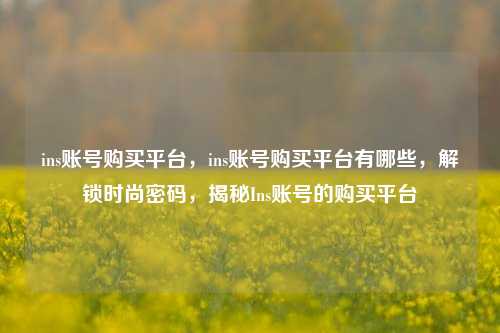 ins账号购买平台，ins账号购买平台有哪些，解锁时尚密码，揭秘Ins账号的购买平台