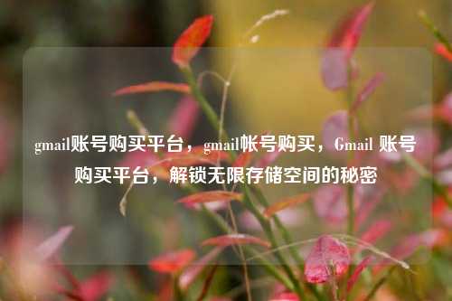gmail账号购买平台，gmail帐号购买，Gmail 账号购买平台，解锁无限存储空间的秘密