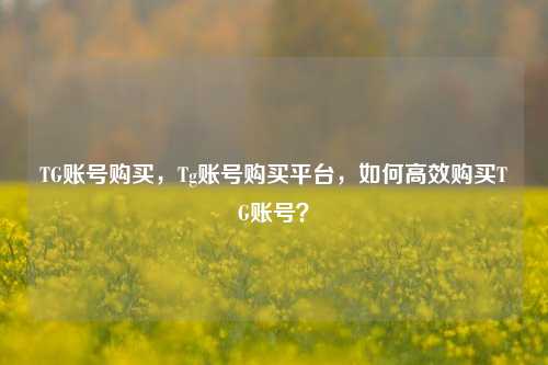 TG账号购买，Tg账号购买平台，如何高效购买TG账号？