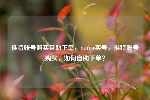 推特账号购买自助下单，twitter买号，推特账号购买，如何自助下单？