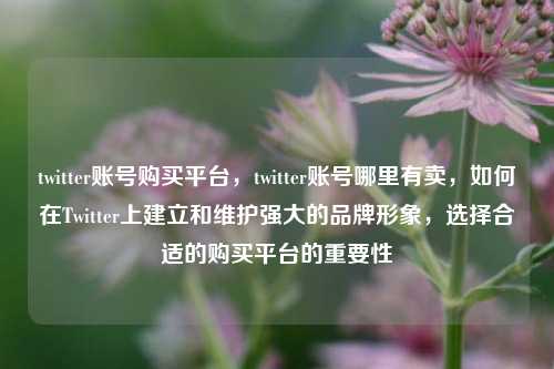 twitter账号购买平台	，twitter账号哪里有卖，如何在Twitter上建立和维护强大的品牌形象，选择合适的购买平台的重要性  第1张