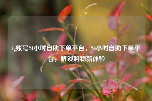 tg账号24小时自助下单平台，24小时自助下单平台，解锁购物新体验
