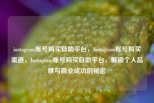 instagram账号购买自助平台，instagram账号购买渠道，Instagram账号购买自助平台	，解锁个人品牌与商业成功的秘密  第1张