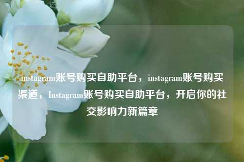 instagram账号购买自助平台，instagram账号购买渠道，Instagram账号购买自助平台，开启你的社交影响力新篇章