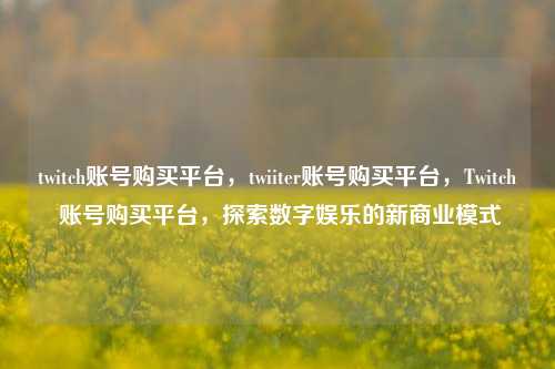 twitch账号购买平台，twiiter账号购买平台，Twitch 账号购买平台，探索数字娱乐的新商业模式