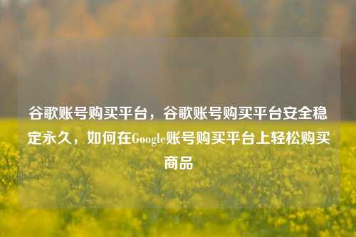 谷歌账号购买平台，谷歌账号购买平台安全稳定永久，如何在Google账号购买平台上轻松购买商品