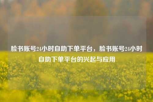 脸书账号24小时自助下单平台，脸书账号24小时自助下单平台的兴起与应用