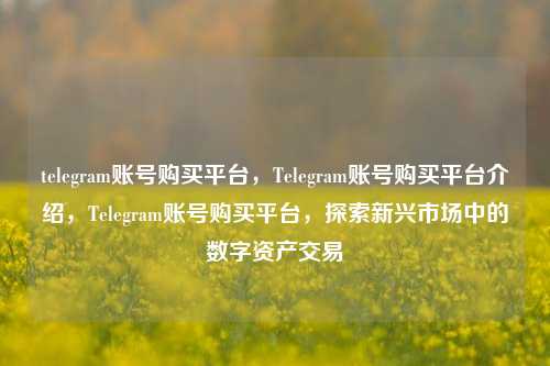 telegram账号购买平台，Telegram账号购买平台介绍，Telegram账号购买平台，探索新兴市场中的数字资产交易