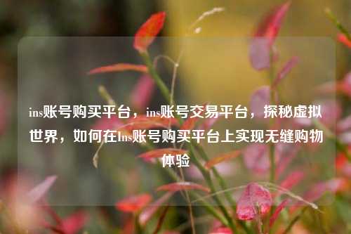 ins账号购买平台，ins账号交易平台，探秘虚拟世界，如何在Ins账号购买平台上实现无缝购物体验