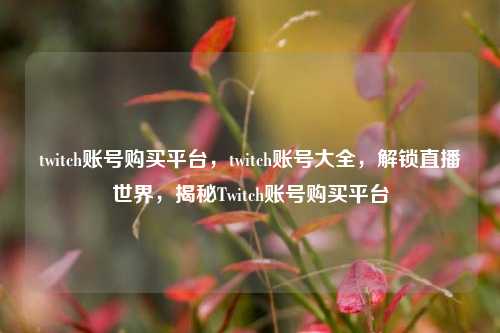 twitch账号购买平台，twitch账号大全，解锁直播世界，揭秘Twitch账号购买平台