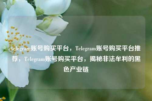 telegram账号购买平台，Telegram账号购买平台推荐，Telegram账号购买平台，揭秘非法牟利的黑色产业链