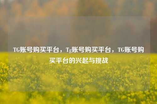 TG账号购买平台，Tg账号购买平台，TG账号购买平台的兴起与挑战