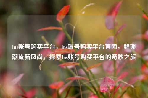 ins账号购买平台，ins账号购买平台官网，解锁潮流新风尚，探索Ins账号购买平台的奇妙之旅