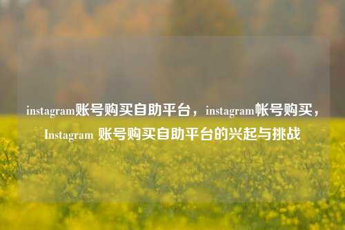 instagram账号购买自助平台，instagram帐号购买，Instagram 账号购买自助平台的兴起与挑战