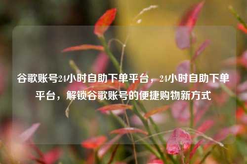 谷歌账号24小时自助下单平台，24小时自助下单平台，解锁谷歌账号的便捷购物新方式