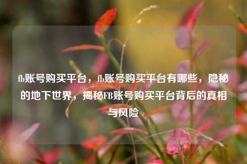 fb账号购买平台，fb账号购买平台有哪些，隐秘的地下世界，揭秘FB账号购买平台背后的真相与风险