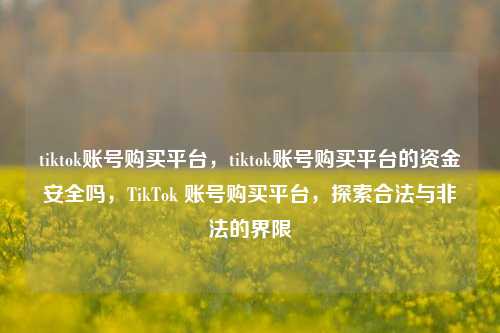 tiktok账号购买平台，tiktok账号购买平台的资金安全吗，TikTok 账号购买平台，探索合法与非法的界限