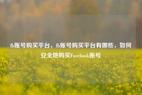 fb账号购买平台，fb账号购买平台有哪些，如何安全地购买Facebook账号